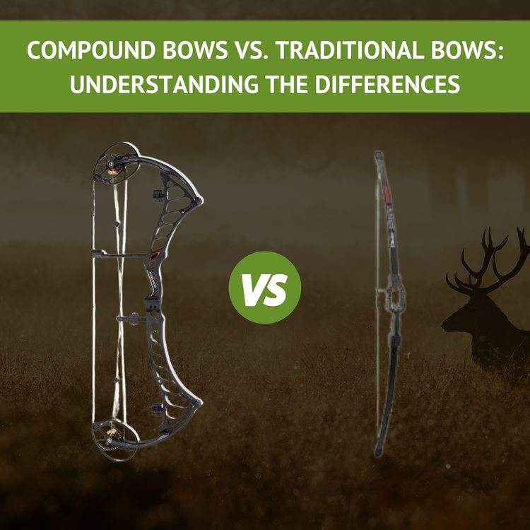 Compound Bows vs. Traditional Bows: Understanding the Differences