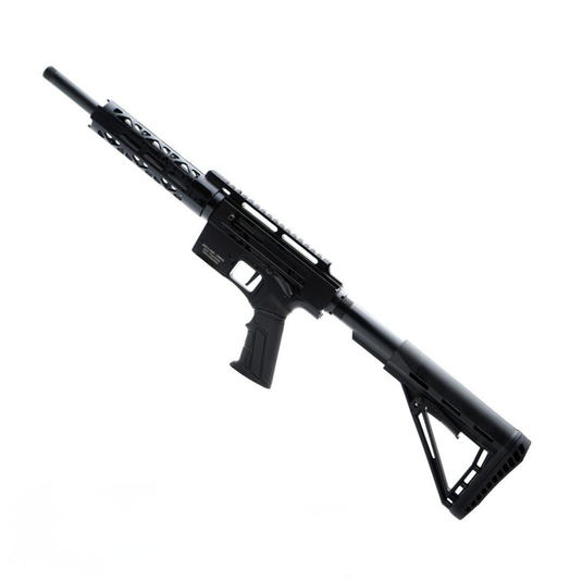 Derya TM22 Pro Rifle, Black: 22 LR, 12