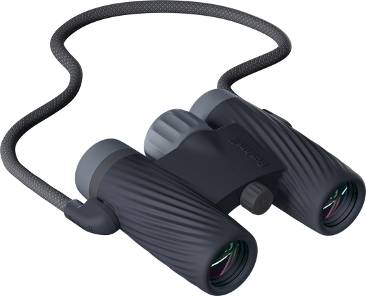 Bushnell A1 Compact Binocular Ebony Black | FWGC
