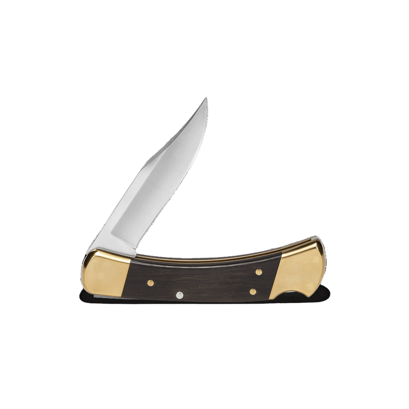 Load image into Gallery viewer, Buck 110 Folding Hunter Knife | FWGC
