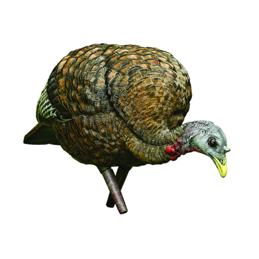 FWGC | Avian Hen Turkey Decoy, Life Like