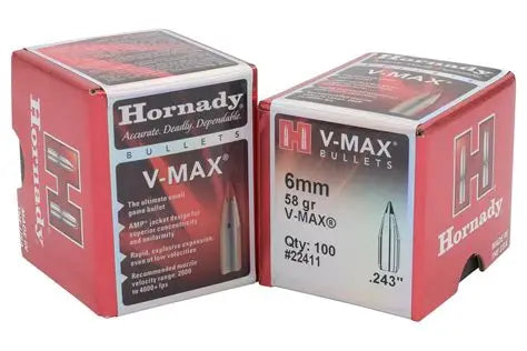 Hornady VMAX 6mm 58GR 100CT | FWGC