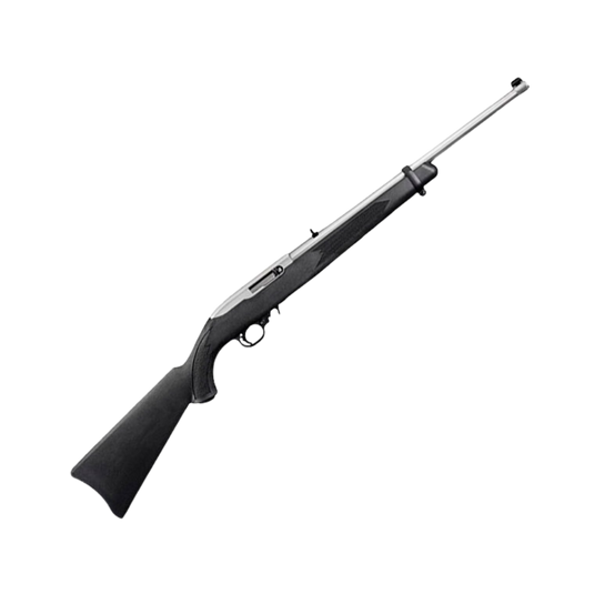 Ruger 10/22 Synthetic, Stainless | FWGC