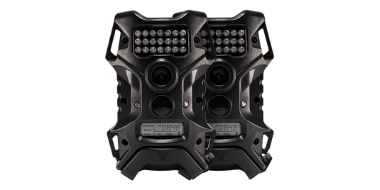Wild Game Terra Extreme Trail Camera 2-Pack | FWGC