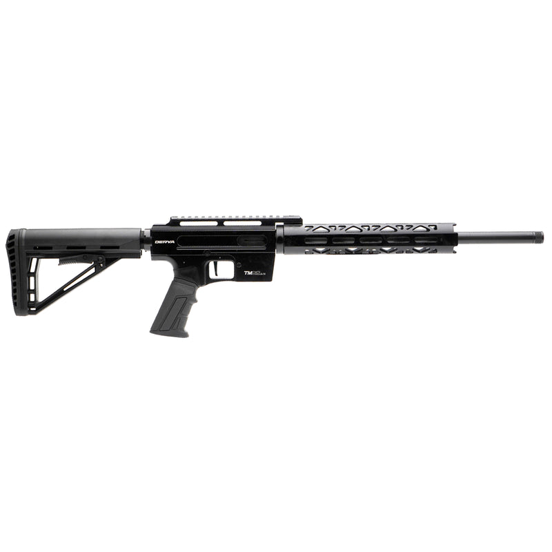 Load image into Gallery viewer, Derya TM22 Pro 22LR 16" Black | FWGC
