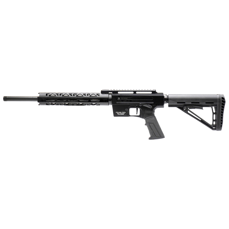 Load image into Gallery viewer, Derya TM22 Pro 22LR 16" Black | FWGC

