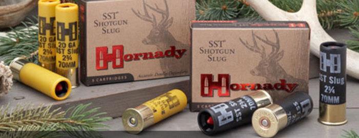 Load image into Gallery viewer, Hornady 20 GA SST Slug, 5 Rounds
