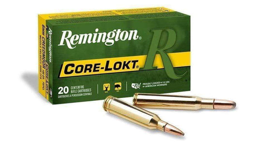 Remington 300 Win Mag Core-Lokt 180gr PSP